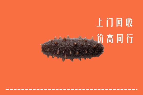 三水区回收海参