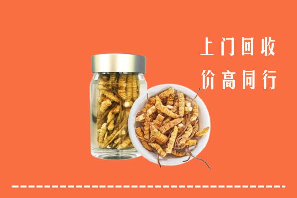 三水区回收冬虫夏草